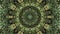 Mandala pattern motion green palm leaves pattern