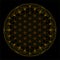 Mandala: Sacred geometry as a flower of life in gold with Art Nouveau ornaments on a black background