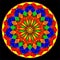 Mandala: sacred geometry in the style of a colorful, elegantly decorated oriental flower on a black background