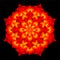 Mandala: sacred geometry in the style of a glowing flower in red, orange, yellow and gold on a black background