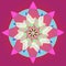 MANDALA STAR FLOWER. PLAIN BURGUNDY BACKGROUND. CENTRAL STAR FLOWER IN PURPLE, FUCHSIA, BURGUNDY, BLUE, BEIGE AND GREEN