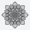 Mandala. stylized floral circular monochrome pattern