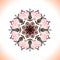 Mandala. Vector ornament in peach colors, round decorative element for your design