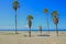 Mandalay Bay Beach Oxnard California Palm trees