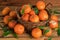 Mandarin basket organic fruits in close-up