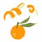 Mandarin branch. Exotic tropical orange citrus fresh fruit, whole juicy tangerine with orange peel vector cartoon minimalistic