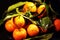 Mandarin fruits, fresh and healthy