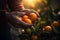 Mandarin fruits hands ripe. Generate Ai