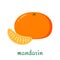Mandarin icon in flat style isolated on white background.