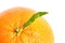 Mandarin, mandarine, tangerine citrus fruit isolated