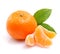 Mandarin orange