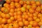 Mandarin orange background