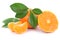 Mandarin orange mandarins fruit fruits tangerine tangerines isolated