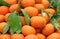 Mandarin oranges pile