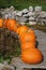 Mandarin Pumpkins On Wooden Bridge