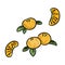 Mandarin set of isolated sticker doodles. Orange tangerines