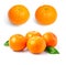 Mandarin, tangerine citrus fruit