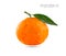 Mandarin, tangerine geometric polygonal fruit, triangles, vector illustration