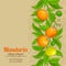 Mandarin vector background