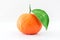 Mandarine or clementine with green leaf