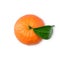 Mandarine or clementine with green leaf