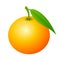 Mandarine fruit vector icon