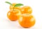 Mandarine orange