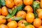 Mandarine orange or tangerine background