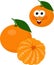 Mandarines, tangerine, clementine with leaves isolated on white background. Citrus fruit. Funny cartoon character