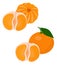 Mandarines, tangerine, clementine with leaves isolated on white background. Citrus fruit. Funny cartoon character. Raster