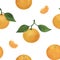 Mandarins Citrus Watercolor Seamless Pattern Fruits Digital Paper Food Illustration Botanical Tropical Fruits
