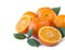 Mandarins with copy space for text. Ripe and tasty tangerines isolated on white background. Clementines on a white background. Bac
