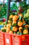 Mandarins, market