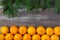 Mandarins for with pine branches Merry Christmas and Happy New Year horizontal layout