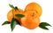 Mandarins tangerines fresh organic fruits with leaves
