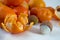 Mandarins on a white background with lobule, peel, citron and litchi. Side view, close. Citrus reticulata. Litchi chinensis