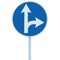 Mandatory straight or right turn ahead, traffic lane route direction sign pointer road sign, choice concept, blue isolated