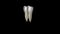 The mandibular first premolar is the tooth located laterally from both the mandibular canines