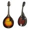 Mandolin