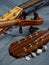 Mandolin, Violin & Guitar Head Trio