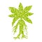 Mandragora plant pattern silhouette ancient mythical fantasy