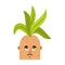 Mandrake root sad emoji. Sorrowful Legendary mystical plant in f