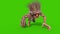 Mane Monster Long Fangs Walks Green Screen Front 3D Rendering Animation