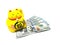 Maneki Neko, Beckoning Lucky Yellow Cat and Dollar Bills