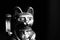 Maneki Neko, the Lucky Cat, covered with dust, black and white. Concept of fast passing time and expectation of good luck