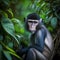 Mangabey Monkey At Rainforest. Generative AI