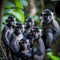 Mangabey Monkey At Rainforest. Generative AI