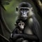Mangabey Monkey At Rainforest. Generative AI