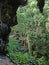 Mangaia Caves, Polynesia