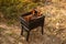 Mangal with fire outdoors. Small grill, barbecue, bbq with flame. Mini folding portable brazier filled with firewood and fire on